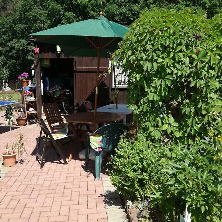 Ferienwohnung Am Wald Tharandt Esterno foto